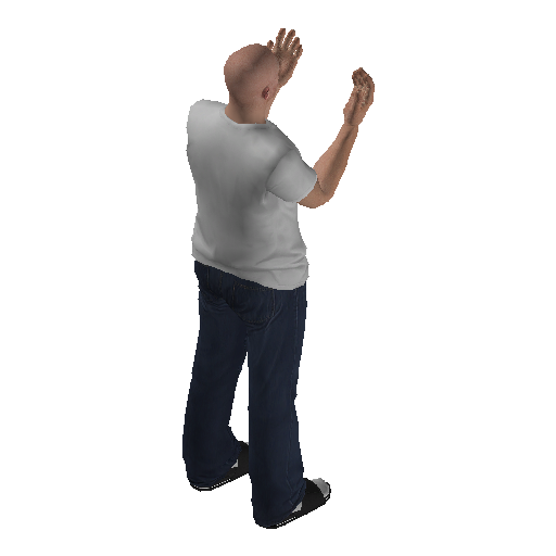 anim@mp_player_intincarrockbodhi@ps@_1 representative animation pose