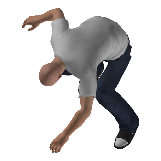 anim@veh@std@compact@ds@enter_exit representative animation pose