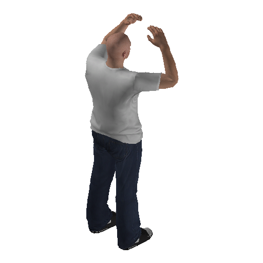 anim@mp_player_intin_carmind_blownbodhi@rps@ representative animation pose