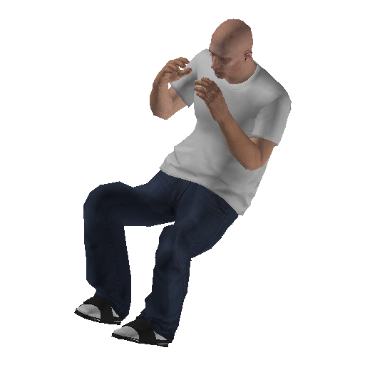 anim@mp_player_intincarphotographybodhi@ps@ representative animation pose