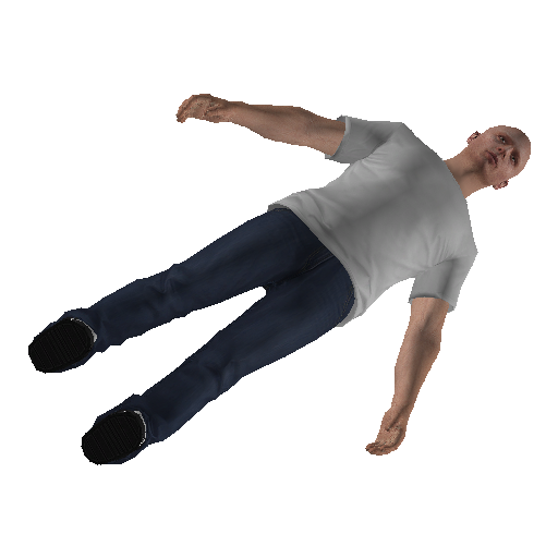 xm4_rr_fin_mcs2-0 representative animation pose