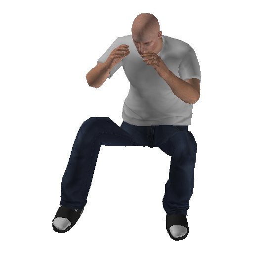 anim@mp_player_intincarphotographybodhi@rds@ representative animation pose