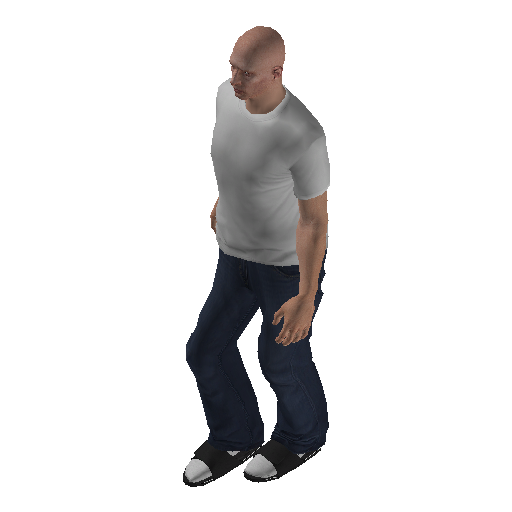 anim@move_f@dancing@slow@ representative animation pose