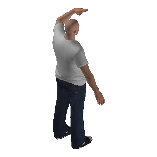 anim@mp_player_intincarsalutestd@rds@_2 representative animation pose