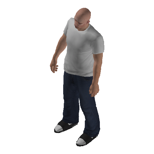 mpcas2_ext-5 representative animation pose