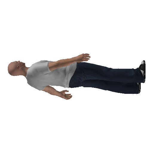 bar_1_rcm_p2-5 representative animation pose