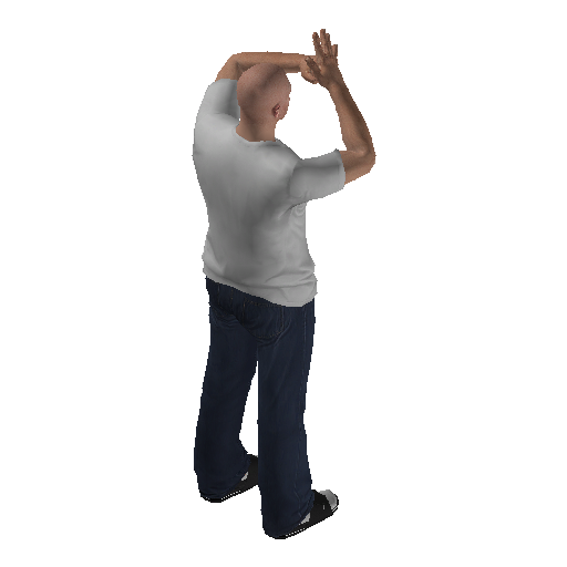 anim@mp_player_intincarknuckle_crunchbodhi@ds@_1 representative animation pose