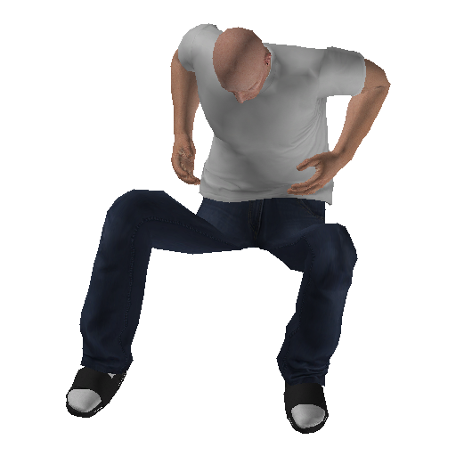 anim@mp_player_intincarair_shaggingbodhi@rds@ representative animation pose