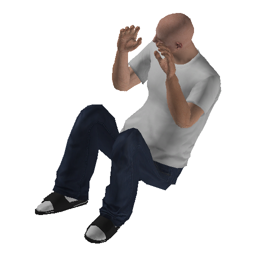 anim@mp_player_intincarsurrenderstd@rds@ representative animation pose