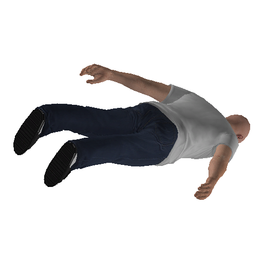 arena_int-12 representative animation pose