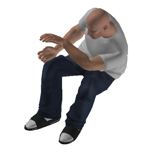 veh@bus@bus@driver@idle_panic representative animation pose