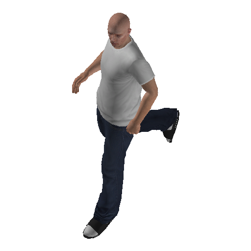 silj_int-1 representative animation pose