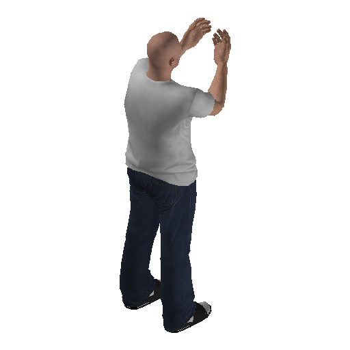 anim@mp_player_intincarfreakoutlow@ds@_1 representative animation pose