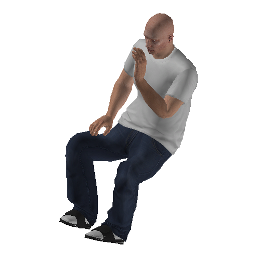 anim@mp_player_intincarshushbodhi@ps@ representative animation pose