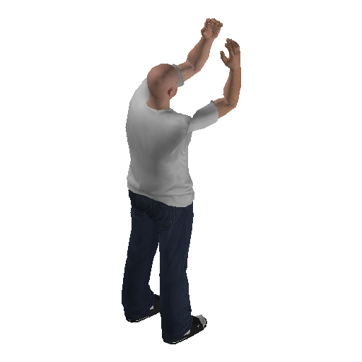 anim@mp_player_intincarchicken_tauntbodhi@rds@ representative animation pose