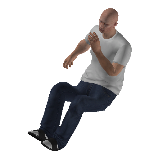anim@mp_player_intincarshushbodhi@ds@ representative animation pose