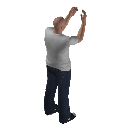 anim@mp_player_intincarchicken_tauntbodhi@ds@_1 representative animation pose
