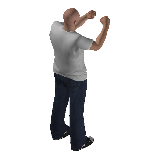 anim@mp_player_intin_carshadow_boxingstd@ps@ representative animation pose