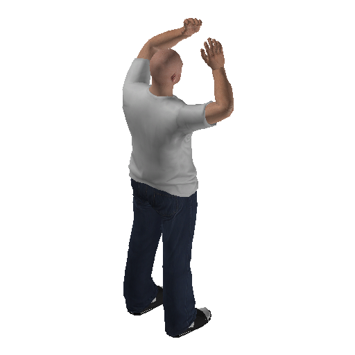 anim@mp_player_intin_carcry_babybodhi@rds@ representative animation pose