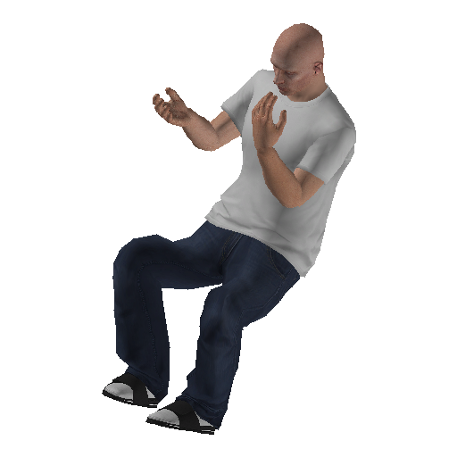 anim@mp_player_intincarv_signbodhi@ps@ representative animation pose
