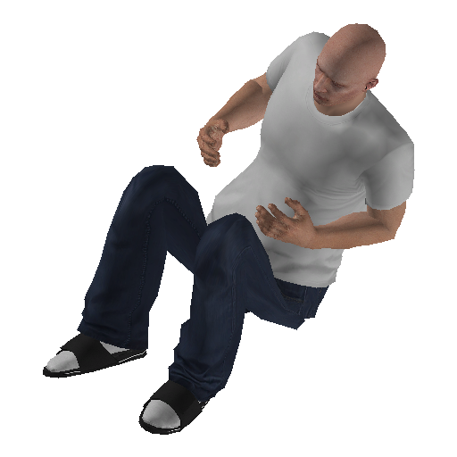 anim@mp_player_intincarair_shaggingstd@rds@ representative animation pose