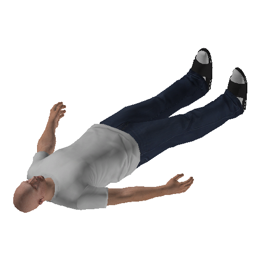 mpcas6_mcs1-3 representative animation pose