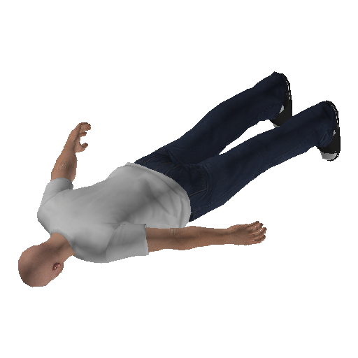 mpcas2_ext-3 representative animation pose