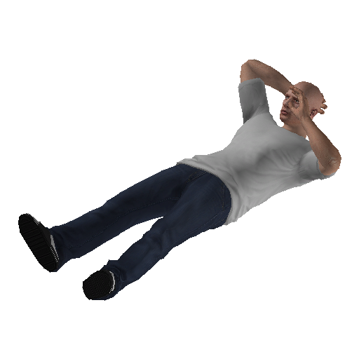 anim@mp_bedmid@left_var_03 representative animation pose