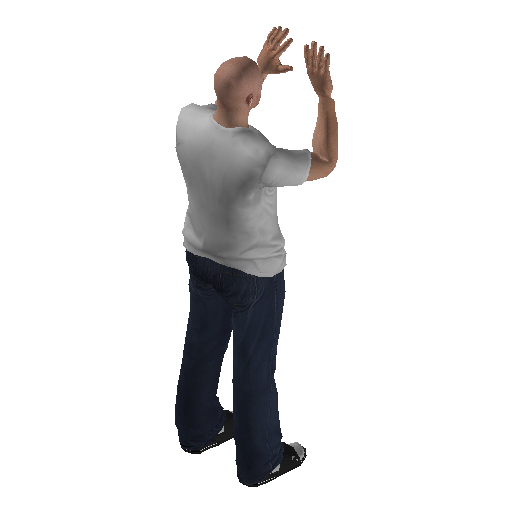 anim@mp_player_intincarsurrenderbodhi@ds@_1 representative animation pose