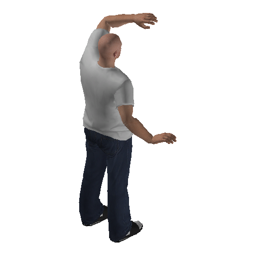 anim@mp_player_intincarrespectbodhi@rps@_1 representative animation pose