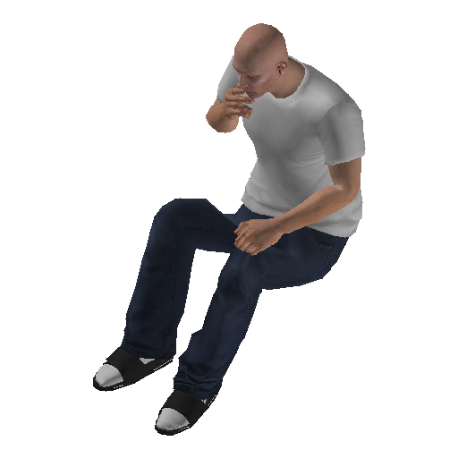 anim@mp_player_intveh@plane@luxor2@rear_front@smoke@_1 representative animation pose