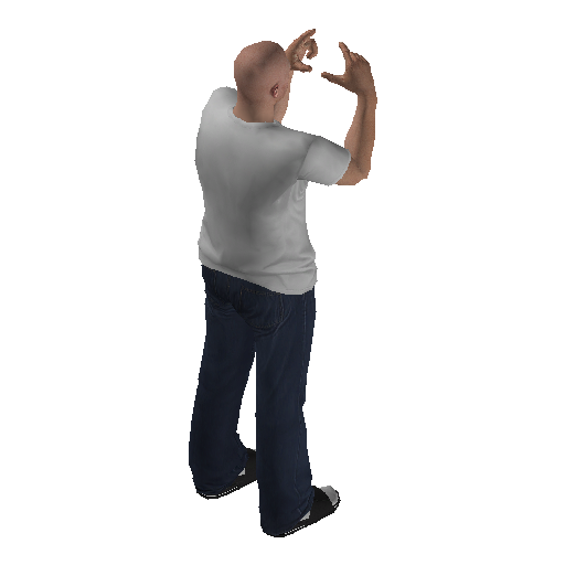 anim@mp_player_intincarphotographybodhi@rds@_1 representative animation pose