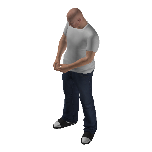 hs3f_int1-0 representative animation pose