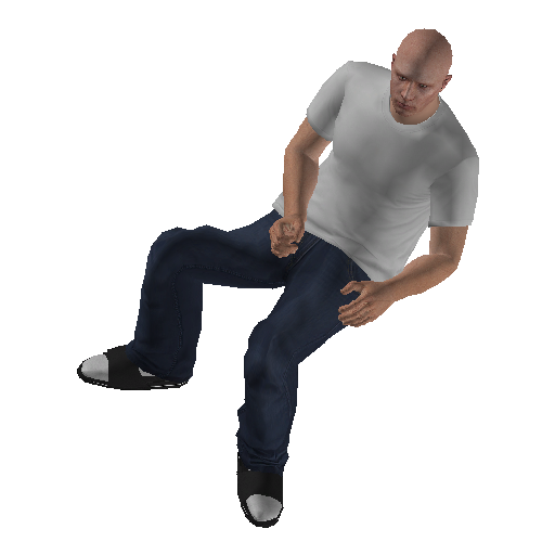 hs4f_app_plne-2 representative animation pose