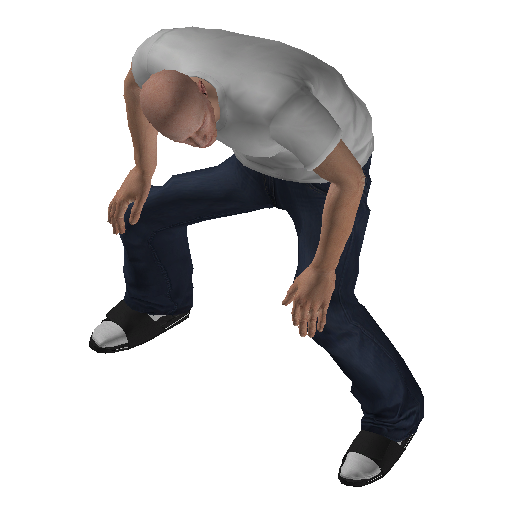 hs3f_dir_sew-0 representative animation pose
