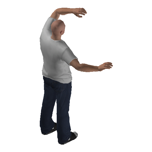 anim@mp_player_intincarrespectbodhi@rds@_1 representative animation pose