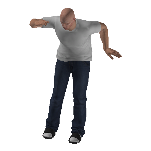 anim@mp_player_intincarsalutebodhi@rds@ representative animation pose