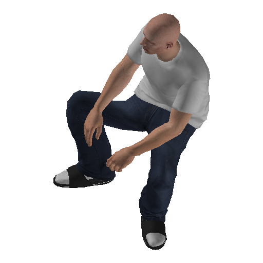 hs4f_app_plne-1 representative animation pose