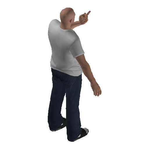 anim@mp_player_intincarfingerstd@ds@_2 representative animation pose