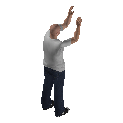 anim@mp_player_intincarpeacebodhi@rds@ representative animation pose