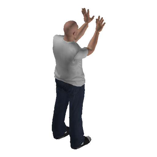 anim@mp_player_intincarjazz_handsbodhi@ds@_1 representative animation pose
