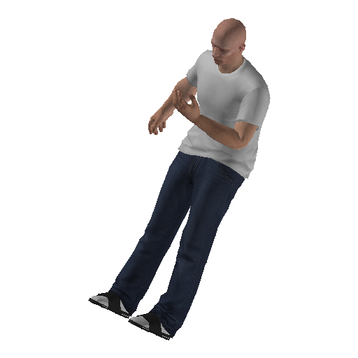 anim@mp_player_intincarwankbodhi@ds@_1 representative animation pose