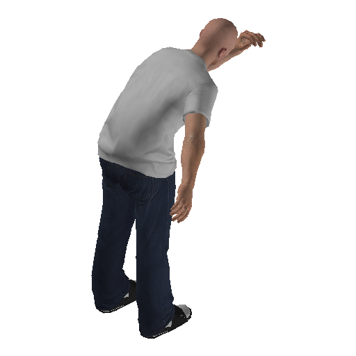 anim@mp_player_intincarcoin_roll_and_tossbodhi@rps@_1 representative animation pose