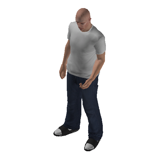 apa_hum_fin_int-5 representative animation pose