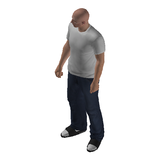 low_int-11 representative animation pose