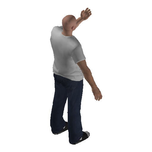 anim@mp_player_intincarwankbodhi@ds@ representative animation pose