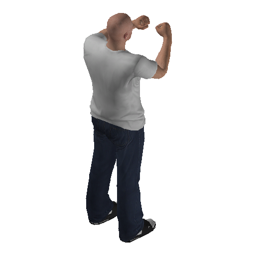 anim@mp_player_intin_carshadow_boxinglow@ds@_1 representative animation pose