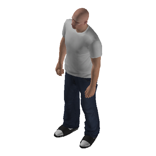 hs4f_int-14 representative animation pose