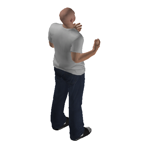 anim@mp_player_intincarair_shaggingbodhi@ds@ representative animation pose
