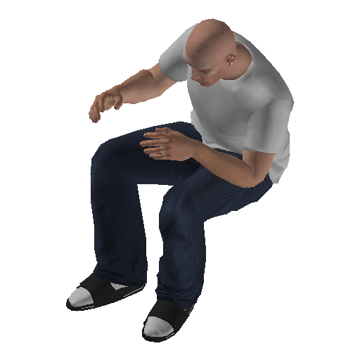 veh@bus@bus@driver@idle_duck representative animation pose